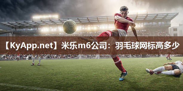 羽毛球网标高多少