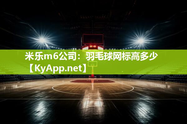 羽毛球网标高多少