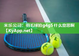 羽毛球拍g4g5什么意思啊